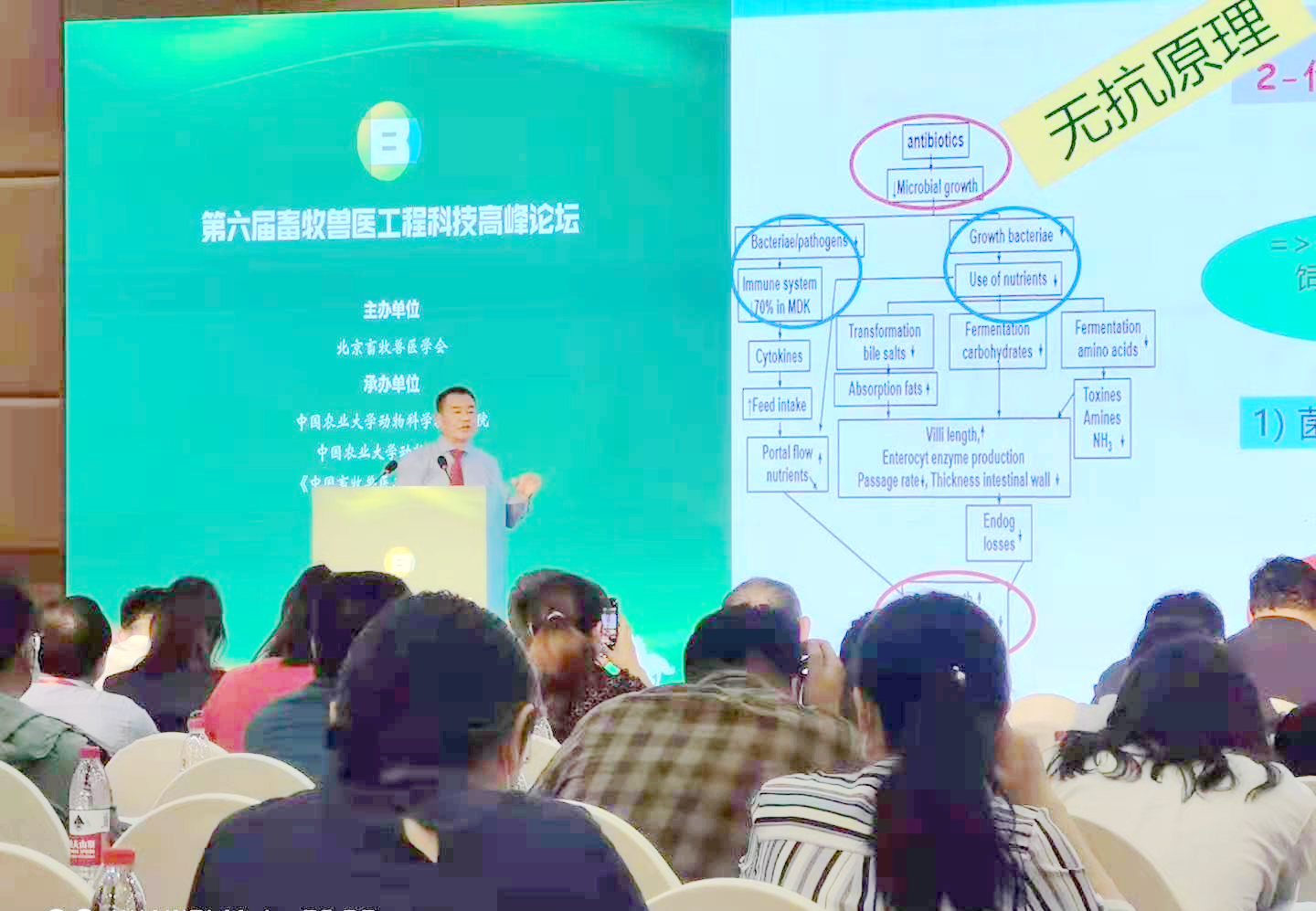 天然植物提取物在無抗中發(fā)揮哪些優(yōu)勢？